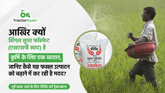 SSP Fertilizer: Price, Uses and Benefits of Single Superphosphate the Finest Fertilizer for Healthy Plants SSP Fertilizer: Price, Uses and Benefits of Single Superphosphate the Finest Fertilizer for Healthy Plants image