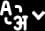 language icon