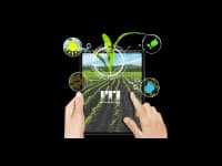 Agriculture News image
