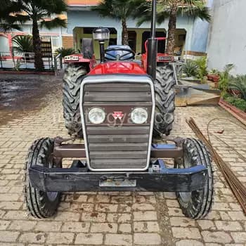 Massey ferguson 241 R (1)