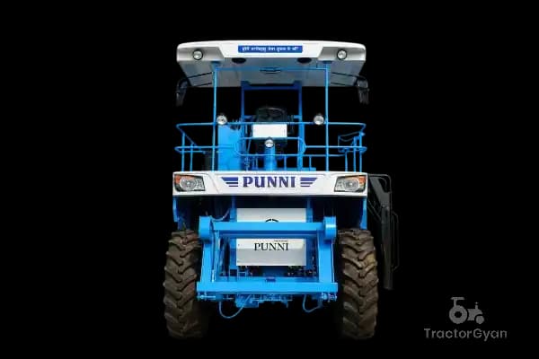 Punni Crop Set (1)