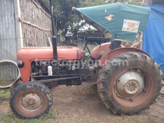 Massey ferguson 1035 DI (4)