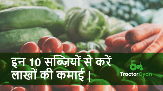 इन 10 सब्जियों से करें लाखों की कमाई इन 10 सब्जियों से करें लाखों की कमाई image