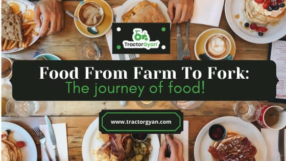 From farm to fork: The journey of your food! From farm to fork: The journey of your food! image