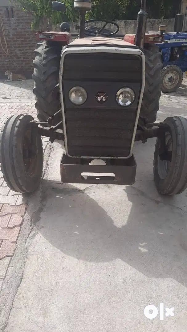 241 DI Maha Shakti
