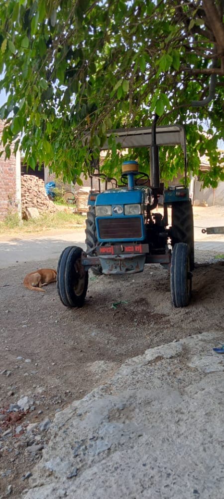 Eicher 364 (4)