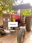Massey ferguson 5245 MAHA MAHAAN (1)