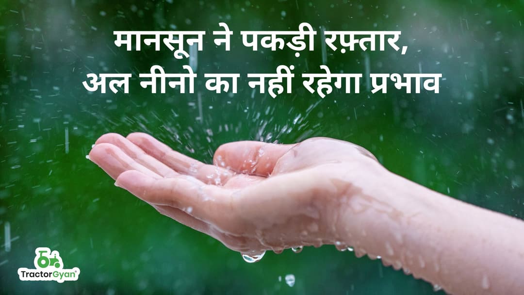 मानसून ने पकड़ी रफ़्तार, अल नीनो का नहीं रहेगा प्रभाव