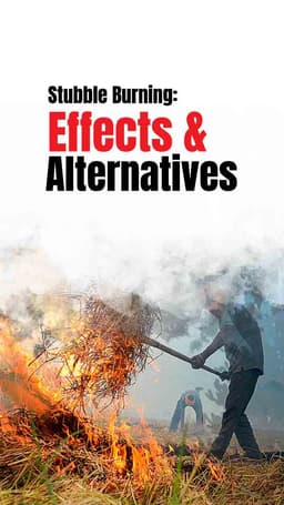 Stubble Burning: Effects & Alternatives | Tractorgyan