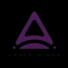 Amber Wings logo