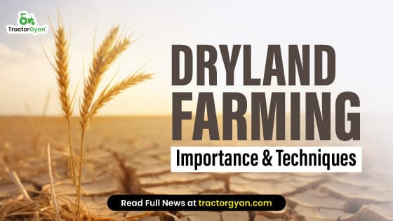 Dryland Farming: Importance, Characteristics & Techniques | Tractorgyan Dryland Farming: Importance, Characteristics & Techniques | Tractorgyan image