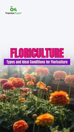 Floriculture: Types And Ideal Conditions Floriculture: Types And Ideal Conditions
