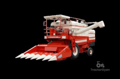 Dasmesh 9100 Maize Dasmesh 9100 Maize