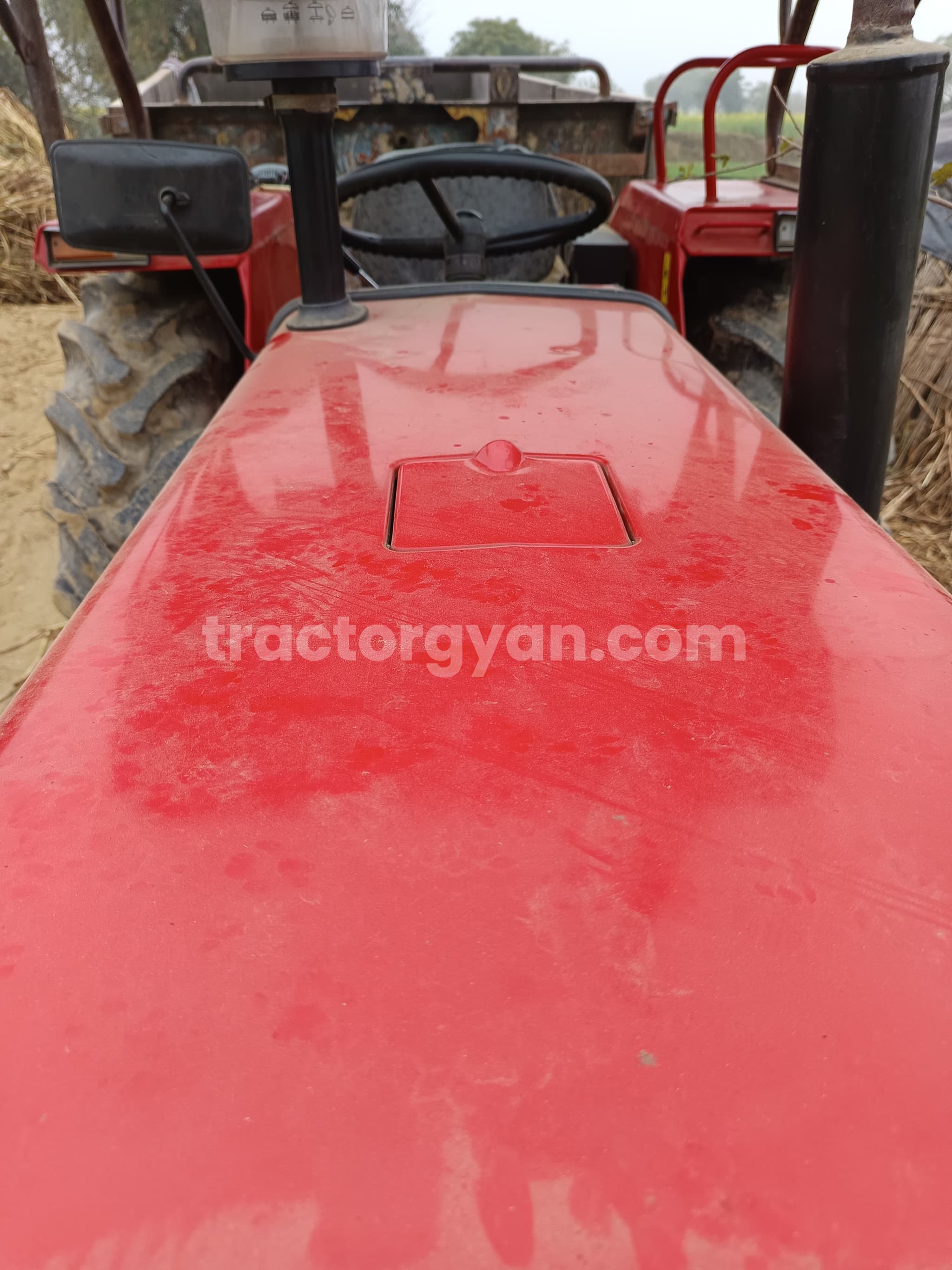 Massey ferguson 241 DI Planetary Plus (2) Massey ferguson 241 DI Planetary Plus (2)