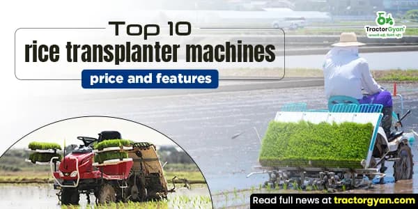 Top 10 rice transplanter machines price and features Top 10 rice transplanter machines price and features image