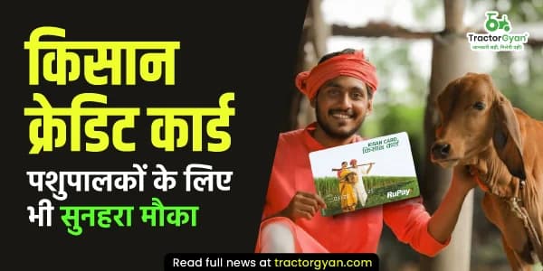 किसान क्रेडिट कार्ड: पशुपालकों के लिए भी सुनहरा मौका किसान क्रेडिट कार्ड: पशुपालकों के लिए भी सुनहरा मौका image