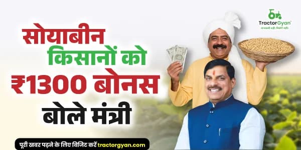 किसानों के लिए खुशखबरी: एमपी सरकार देगी ₹1300 प्रति क्विंटल सोयाबीन बोनस किसानों के लिए खुशखबरी: एमपी सरकार देगी ₹1300 प्रति क्विंटल सोयाबीन बोनस image