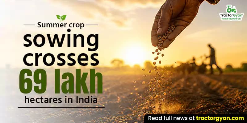 Summer crop sowing crosses 69 lakh hectares in India Summer crop sowing crosses 69 lakh hectares in India image