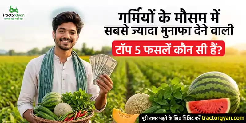 गर्मियों के मौसम में सबसे ज्यादा मुनाफा देने वाली टॉप 5 फसलें कौन सी हैं? गर्मियों के मौसम में सबसे ज्यादा मुनाफा देने वाली टॉप 5 फसलें कौन सी हैं? image