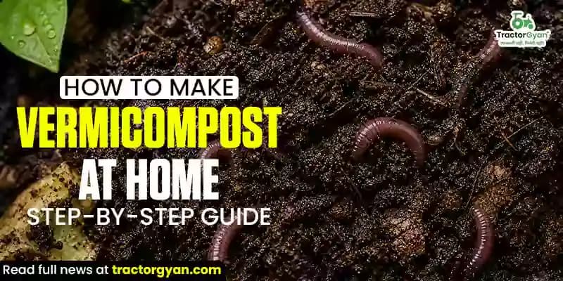 How to make vermicompost at home: Step-by-step guide How to make vermicompost at home: Step-by-step guide