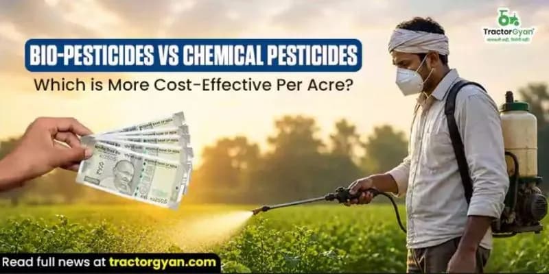 Bio-Pesticides vs Chemical Pesticides: Which is more cost-effective per acre? Bio-Pesticides vs Chemical Pesticides: Which is more cost-effective per acre?