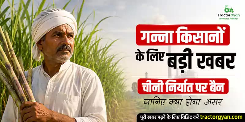 गन्ना किसानों के लिए बड़ी खबर - चीनी निर्यात पर बैन जानिए क्या होगा असर गन्ना किसानों के लिए बड़ी खबर - चीनी निर्यात पर बैन जानिए क्या होगा असर image