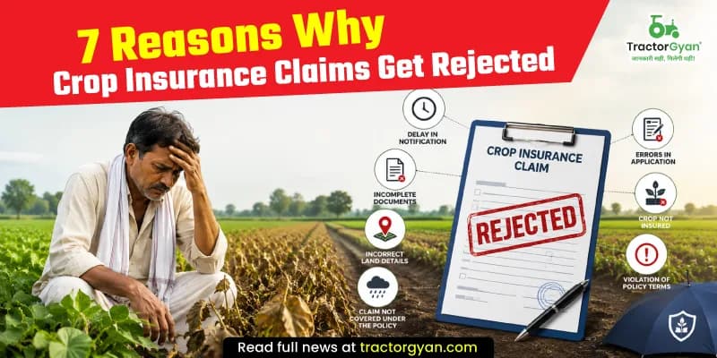 7 Reasons why crop insurance claims get rejected 7 Reasons why crop insurance claims get rejected image