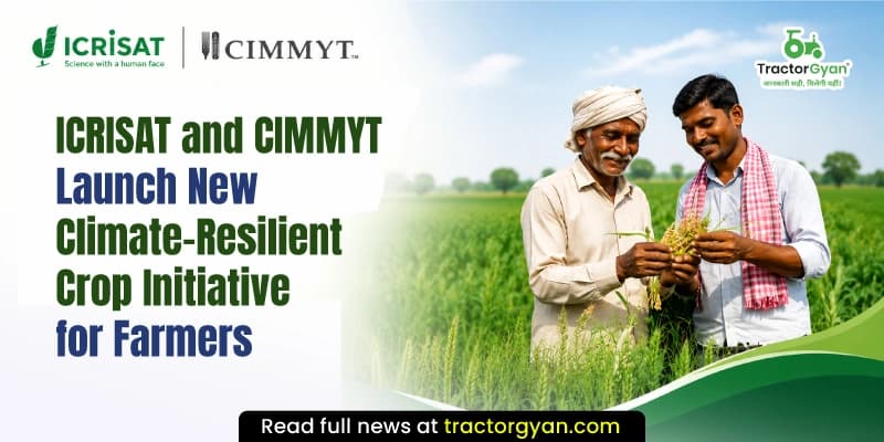 ICRISAT and CIMMYT launch new climate-resilient crop initiative for farmers ICRISAT and CIMMYT launch new climate-resilient crop initiative for farmers image