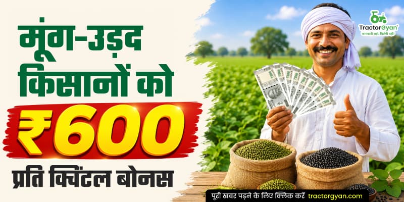 मूंग-उड़द किसानों को ₹600 प्रति क्विंटल बोनस मूंग-उड़द किसानों को ₹600 प्रति क्विंटल बोनस image