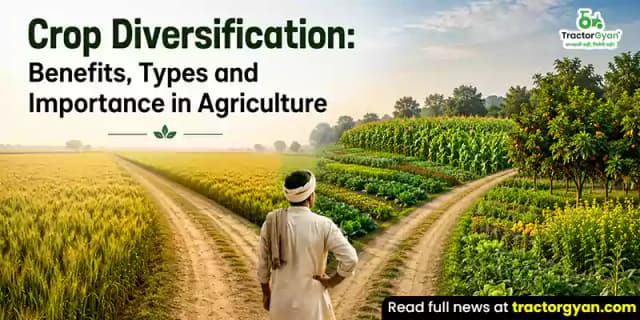 Crop Diversification: Benefits, types and importance in agriculture Crop Diversification: Benefits, types and importance in agriculture image
