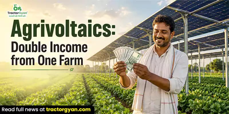 Agrivoltaics: Double income from one farm Agrivoltaics: Double income from one farm