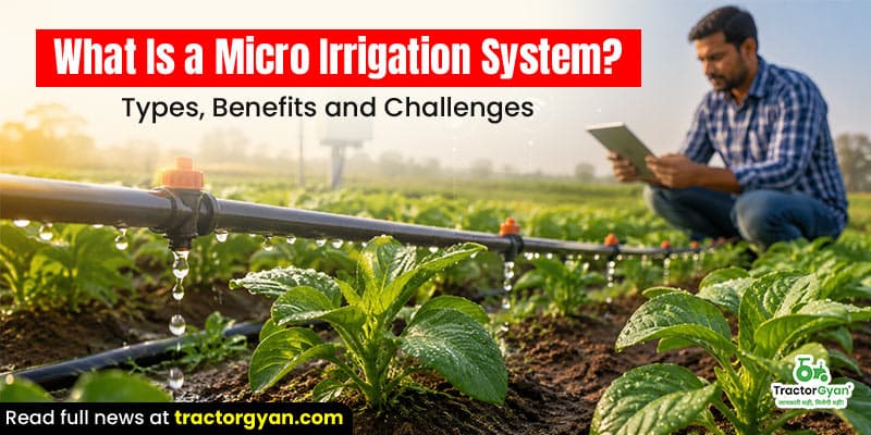 What is a micro irrigation system? Types, benefits and challenges What is a micro irrigation system? Types, benefits and challenges image