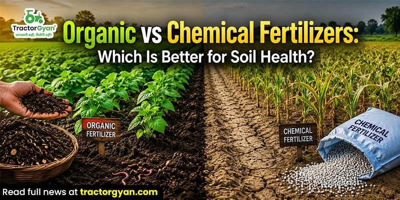 Organic vs chemical fertilizers: Which is better for soil health Organic vs chemical fertilizers: Which is better for soil health