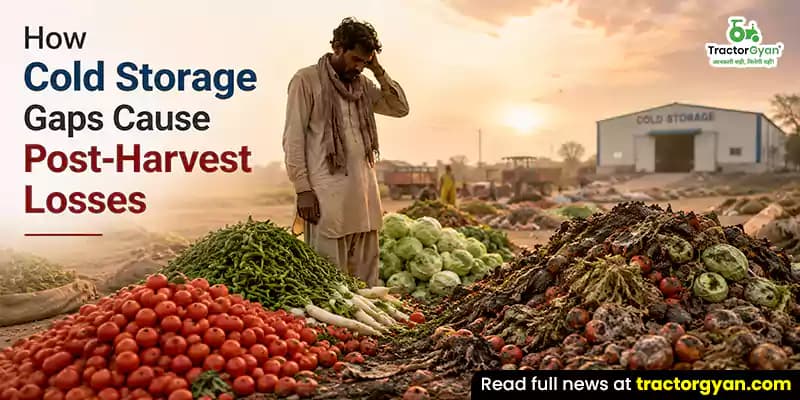 How cold storage gaps cause post-harvest losses How cold storage gaps cause post-harvest losses image