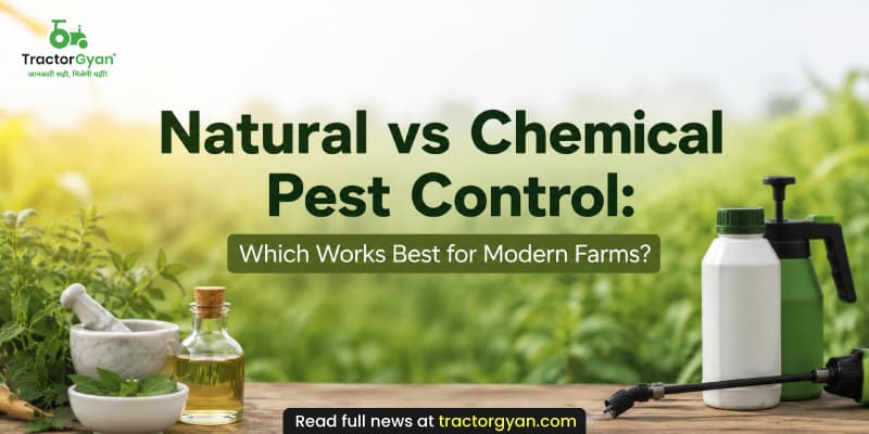 Natural vs Chemical Pest Control: Which works best for modern farms? Natural vs Chemical Pest Control: Which works best for modern farms? image