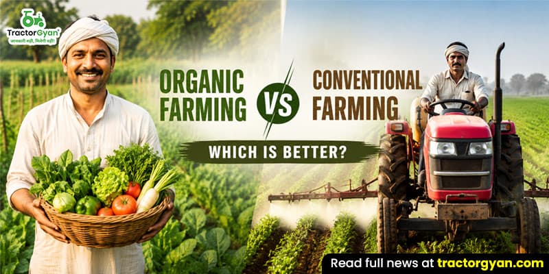 Organic farming vs conventional farming: Which is better? Organic farming vs conventional farming: Which is better? image