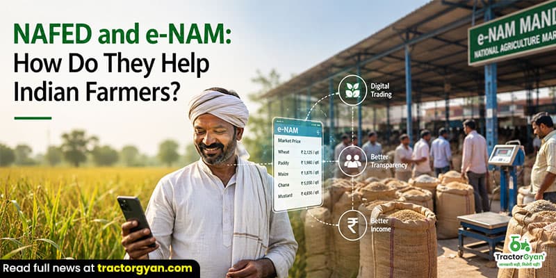 NAFED and e-NAM: How do they help Indian farmers? NAFED and e-NAM: How do they help Indian farmers? image