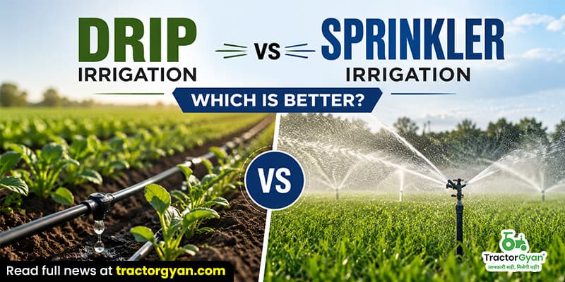 Drip irrigation vs sprinkler irrigation: Which Is better? Drip irrigation vs sprinkler irrigation: Which Is better? image