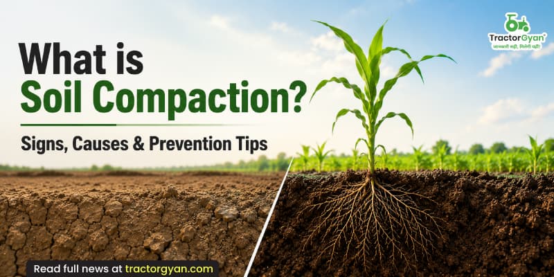 What is soil compaction? Signs, causes & prevention tips What is soil compaction? Signs, causes & prevention tips image