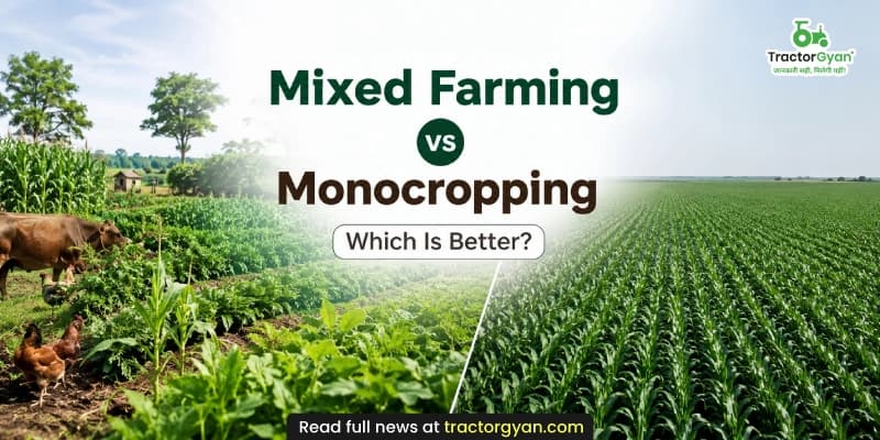 Mixed farming vs monocropping: Which Is better? Mixed farming vs monocropping: Which Is better? image