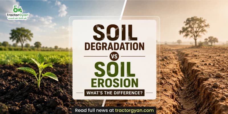 Soil degradation vs soil erosion: What's the difference? Soil degradation vs soil erosion: What's the difference?