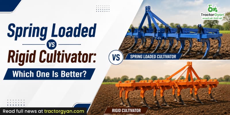 Spring loaded vs rigid cultivator: Which one is better? Spring loaded vs rigid cultivator: Which one is better?