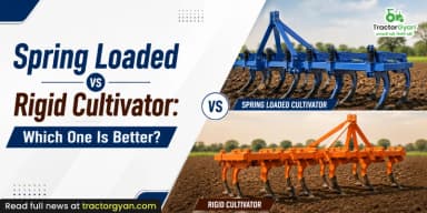 Spring Loaded vs Rigid Cultivator: Which One Is Better? Spring Loaded vs Rigid Cultivator: Which One Is Better?