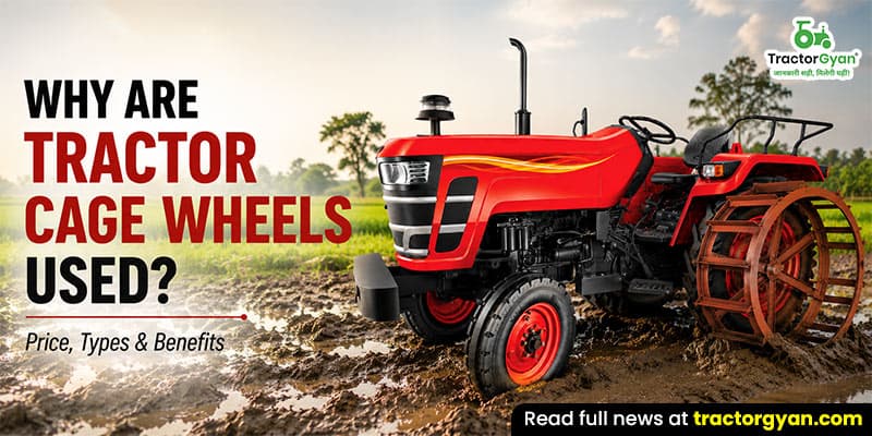 Why are tractor cage wheels used? Price, types & benefits Why are tractor cage wheels used? Price, types & benefits image