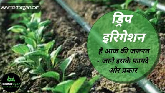 ड्रिप इरिगेशन है आज की जरूरत - जाने इसके फायदे और प्रकार ड्रिप इरिगेशन है आज की जरूरत - जाने इसके फायदे और प्रकार image