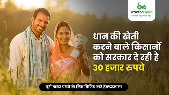 धान की खेती करने वाले किसानों को सरकार दे रही है 30 हजार रुपये धान की खेती करने वाले किसानों को सरकार दे रही है 30 हजार रुपये image